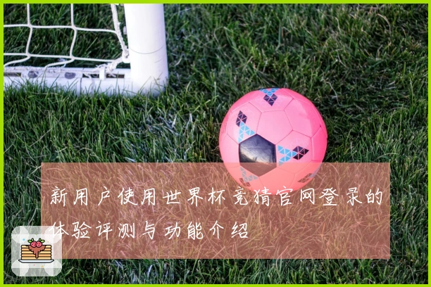 新用户使用世界杯竞猜官网登录的体验评测与功能介绍