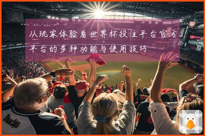 从玩家体验看世界杯投注平台官方平台的多种功能与使用技巧