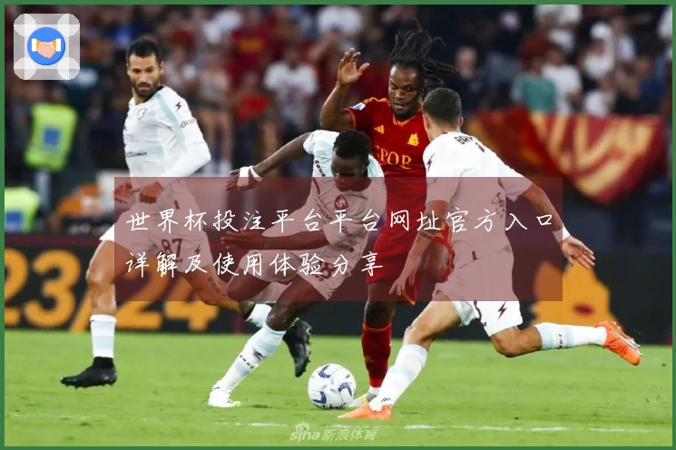 世界杯投注平台平台网址官方入口详解及使用体验分享