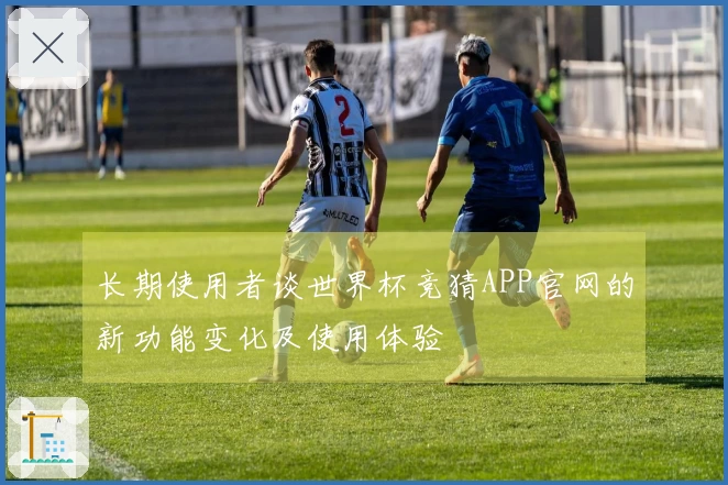 长期使用者谈世界杯竞猜APP官网的新功能变化及使用体验