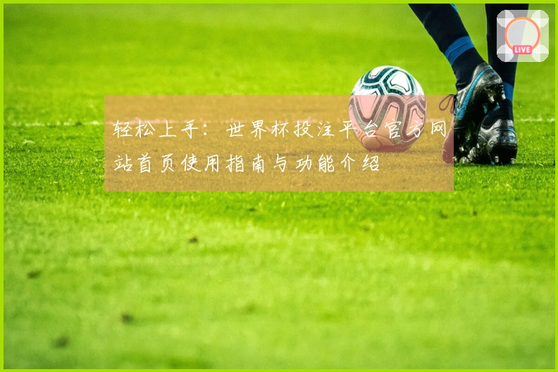 轻松上手:世界杯投注平台官方网站首页使用指南与功能介绍