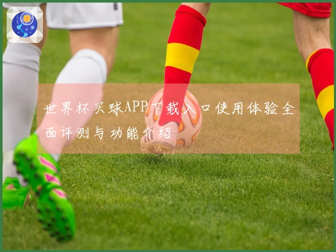 世界杯买球APP下载入口使用体验全面评测与功能介绍