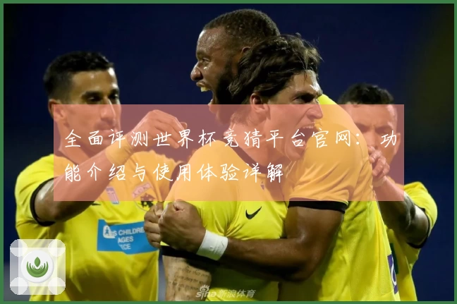 全面评测世界杯竞猜平台官网:功能介绍与使用体验详解