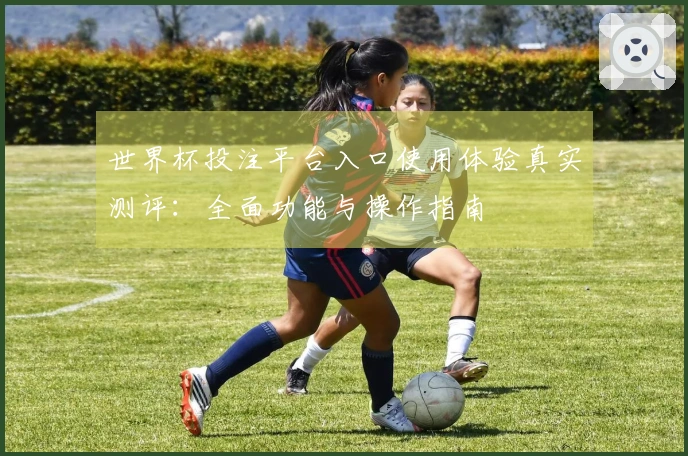 世界杯投注平台入口使用体验真实测评：全面功能与操作指南