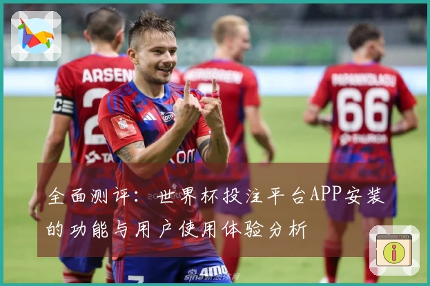 全面测评:世界杯投注平台APP安装的功能与用户使用体验分析