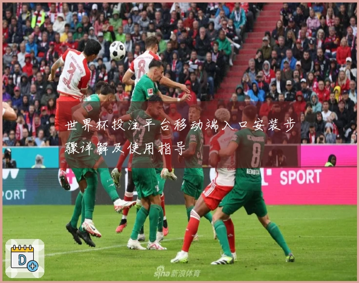 世界杯投注平台移动端入口安装步骤详解及使用指导