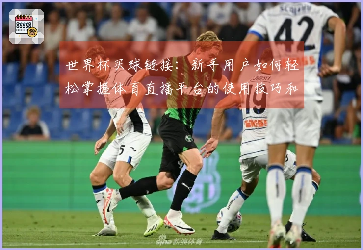 世界杯买球链接：新手用户如何轻松掌握体育直播平台的使用技巧和体验