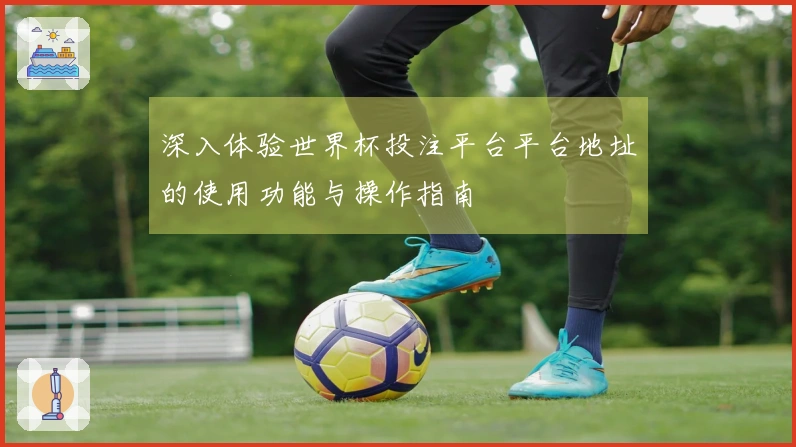 深入体验世界杯投注平台平台地址的使用功能与操作指南