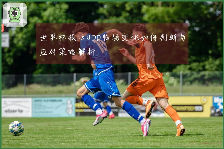 世界杯投注app临场变化如何判断与应对策略解析