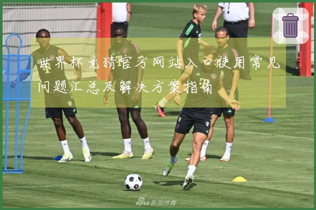 世界杯竞猜官方网站入口使用常见问题汇总及解决方案指南