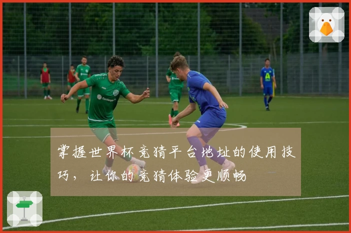 掌握世界杯竞猜平台地址的使用技巧，让你的竞猜体验更顺畅