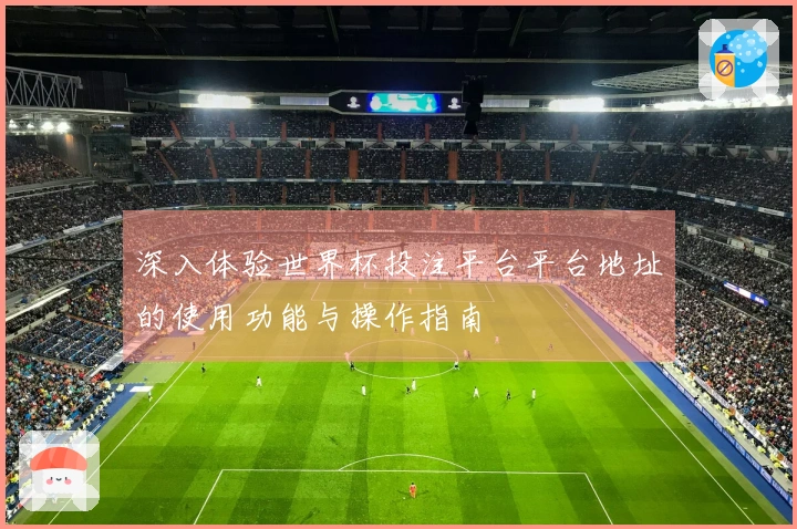 深入体验世界杯投注平台平台地址的使用功能与操作指南
