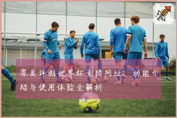 深度评测世界杯竞猜网址：功能介绍与使用体验全解析