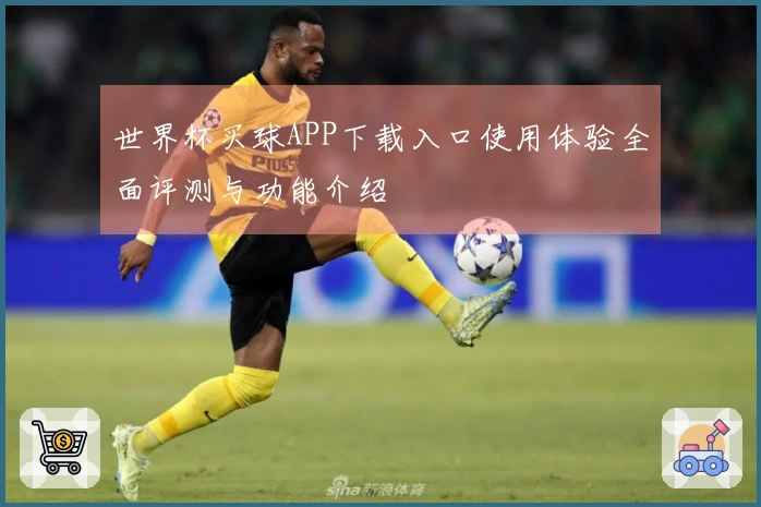 世界杯买球APP下载入口使用体验全面评测与功能介绍
