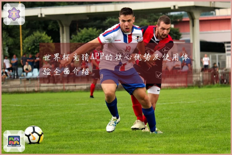 世界杯竞猜APP的核心优势及使用体验全面介绍