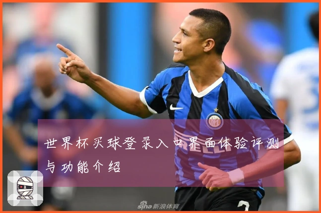 世界杯买球登录入口界面体验评测与功能介绍
