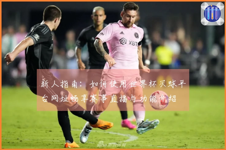 新人指南：如何使用世界杯买球平台网址畅享赛事直播与功能介绍