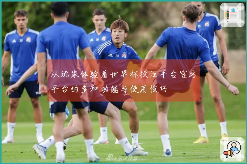 从玩家体验看世界杯投注平台官方平台的多种功能与使用技巧