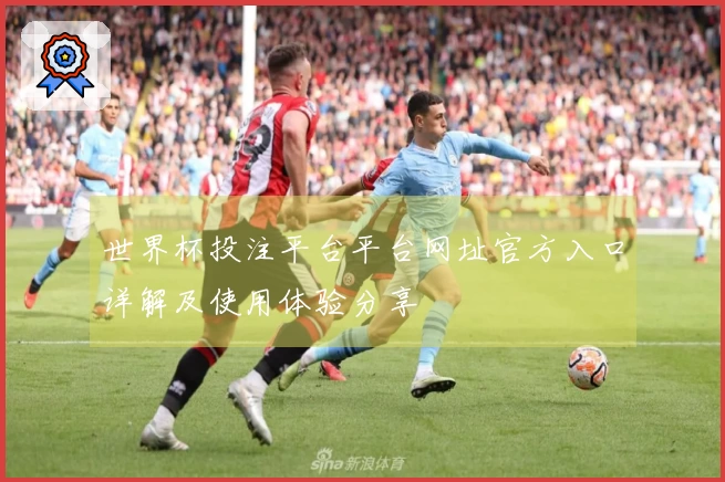 世界杯投注平台平台网址官方入口详解及使用体验分享