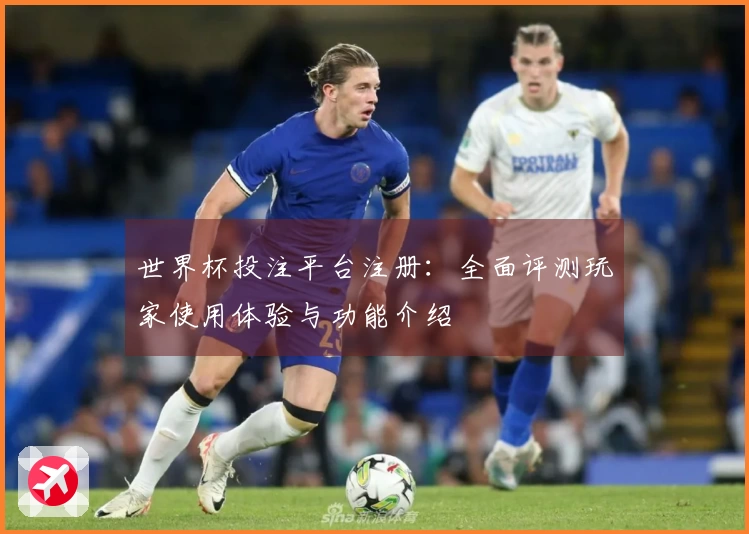 世界杯投注平台注册：全面评测玩家使用体验与功能介绍